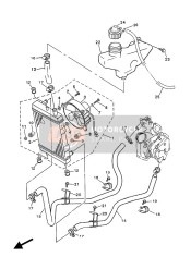 Radiator & Hose